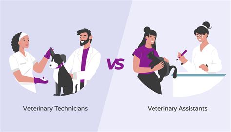 Vet assistant vs vet tech. Learn how vet assistants and vet technicians work with animals and vets, but have different requirements, responsibilities, and scope of practice. Compare their … 