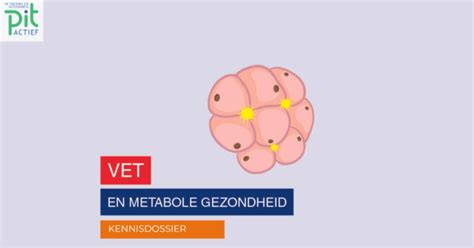 Vet en metabole gezondheid - PIT Actief