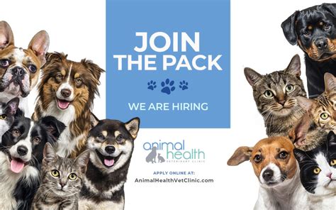 Vet receptionist hiring near me. 21,252 jobs available in Metairie, LA on Indeed.com. Apply to Retail Sales Associate, Receptionist, Wound Care Nurse and more! 