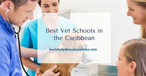 Vet schools in the caribbean. Things To Know About Vet schools in the caribbean. 