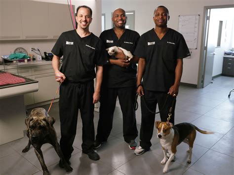 Vet tv shows. Things To Know About Vet tv shows. 