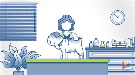 Vetbloom Explainer Video by Eggplain