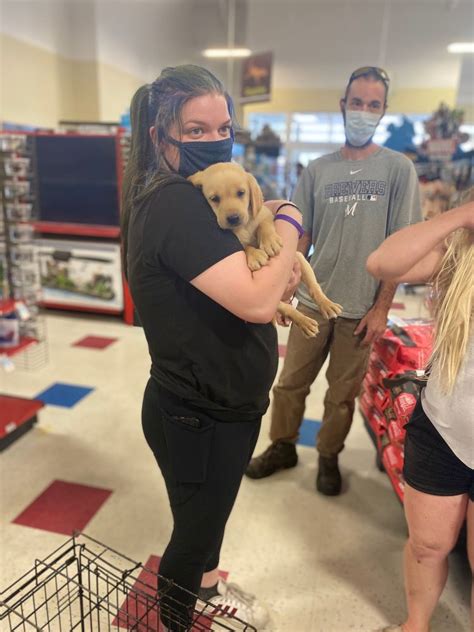 Vetco poughkeepsie. Petco Decatur. Open Now - Closes at 7:00 PM. 2115 N Decatur Rd, Decatur, Georgia, 30033-5305. (404) 633-5049. Book your pet's next exam with Vetco Total Care Animal Hospital at Petco Snellville, GA. Our talented veterinarians offer affordable care at our state-of-the-art pet hospital. 