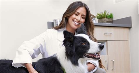 Unleashed by Petco. Vaccination Clinic. Write a Review. 699 
