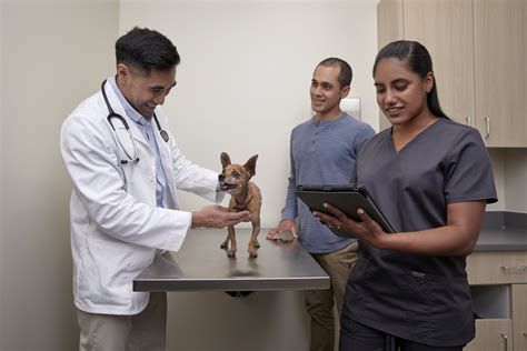 Petco Animal Hospital. Petco. Animal Hospital. 324 S Bryant Ave. Edmond, OK 73034. Get Directions. (405) 509-7081. Book a Vet Appointment. Manage Your Appointment.. 
