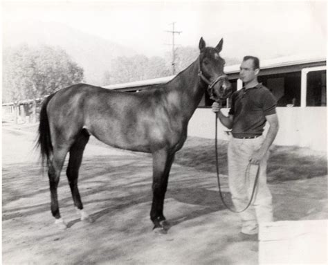 Veteran Bay Area horse racing trainer dies at 86of coronavirus