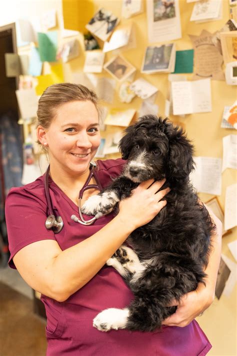 Veterinarian - Alpine Veterinary Hospital