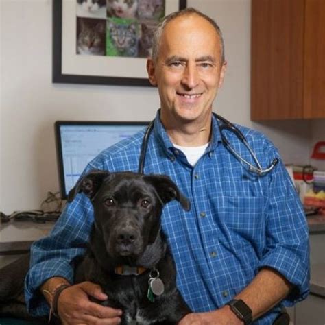 Veterinarian In New York, NY 10001 West Chelsea Veterinary