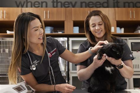 Veterinarian emergency group. That’s where our emergency vets in Phoenix come in. From vomiting to complex surgeries, we treat emergency and urgent care needs for all kinds of pets—even avians and exotics! Discover the Veterinary Emergency Group difference, with our open floor plan hospitals, pet-parent participation, and an emergency-focused team that’s always ready to expect … 
