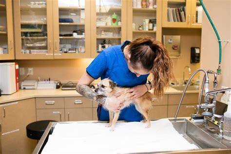 Veterinarian in kent. Veterinarian in Kent, OH 44240 - Stow Kent Animal Hospital Inc. Complete the form below and our team will be in touch with you as soon as possible. If you’re in need of immediate assistance, please call us directly at 330-673-0049. We strive to provide quality veterinary care in a warm and friendly atmosphere. Our doctors offer over 100 years ... 