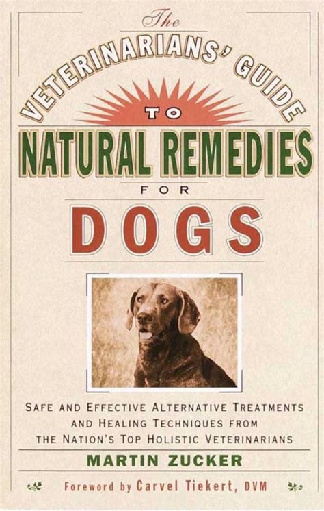 Veterinarians guide to natural remedies for dogs. - Produzione e commercio dello zolfo in sicilia nel secolo xix..