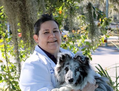 Veterinarians in Port Royal SC Port Royal Veterinary …