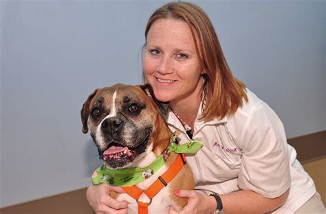 Veterinary Behavioral Medicine in Virginia Beach, VA Healing …