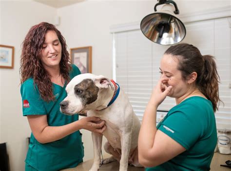 Veterinary Clinic jobs in Phoenix, AZ - Indeed