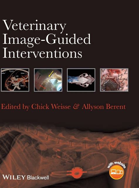 Veterinary Image Guided Interventions