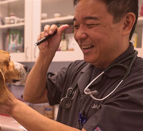 Veterinary Internal Medicine Hawaii Kai & Honolulu, HI