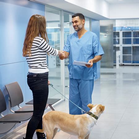 Veterinary Jobs and Veterinary Employment The VET Recruiter