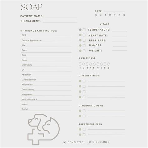 Veterinary Record Template