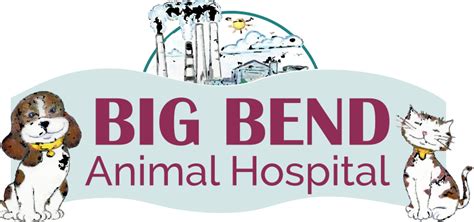 Veterinary Technician Externship Job in Riverview, FL at Big Bend ...