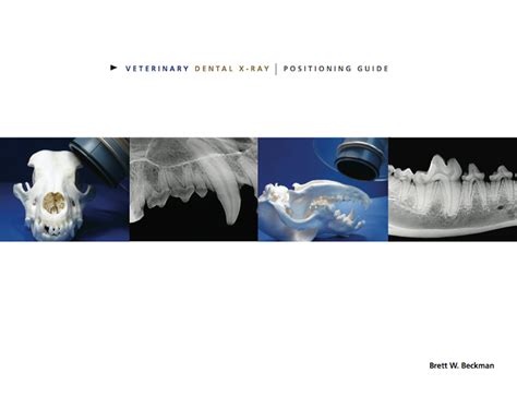 Veterinary dental x ray positioning guide air techniques 552834. - Fox float r rear shock manual 2013.
