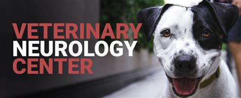 Veterinary neurology center. Things To Know About Veterinary neurology center. 