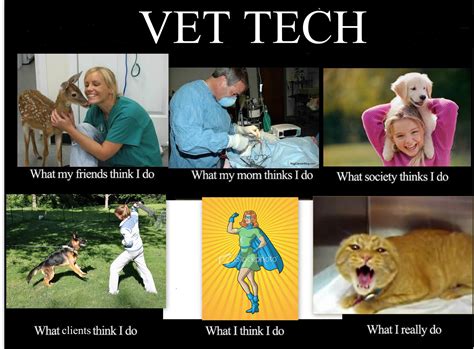 Veterinary technician meme. A special thanks to our followers and their jokes contribution on our Facebook page. I Love Veterinary. Project dedicated to support and help to improve Veterinary Medicine. Sharing information and raising discussions in the veterinary community. Veterinary Jokes for everyone! Vet techs and other staff at your local veterinary practice work ... 