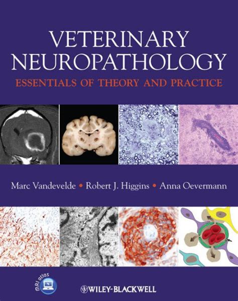 Download Veterinary Neuropathology Essentials Of Theory And Practice By Marc Vandevelde