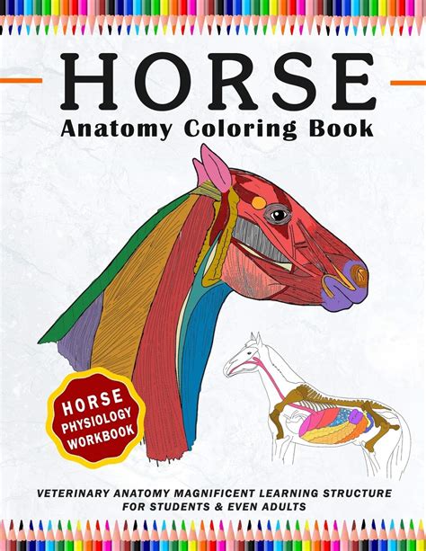 Full Download Veterinary Physiology Animals Workbook And Coloring Anatomy Magnificent Learning Structure For Students  Even Adults By Patrick Crown