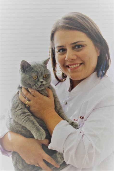 veodersti.rgarabwor.edu.pl. 