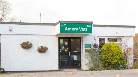 Vets and surgeries in and around Grayshott, Hampshire