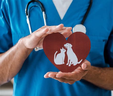 Vets open on weekends. Welcome to the Killeen Veterinary Clinic in the Killeen/Ft. Hood area. We\'ve been voted Best Veterinary Clinic of Central Texas by the Killeen Daily Herald in 2011, 2013, and 2014! Call us today at 254-634-0242 to learn more. 