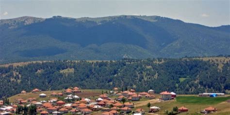 Veziralani Halı ve Koltuk Yıkama
