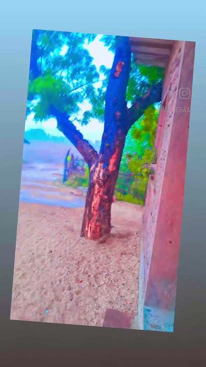 Vgyyy Onlyfans Leak