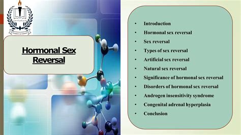 ViDiO SeX trigger samples & SMA ML kamar rahasia pemain hack chip kamera profesional napas stabil terpukau sinematografi film nikmati materi spesial image 1