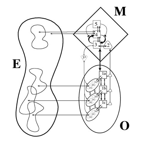 Viable System Model Metaphorum