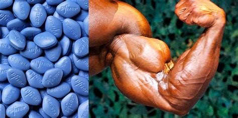 Viagra Bodybuilding ：how Do I Order Viagra Pills - IDEPEM …