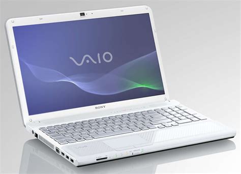 Vaio vpcl13 series (165 pages) Desktop Sony PCV-RS310 - Vaio Desktop C