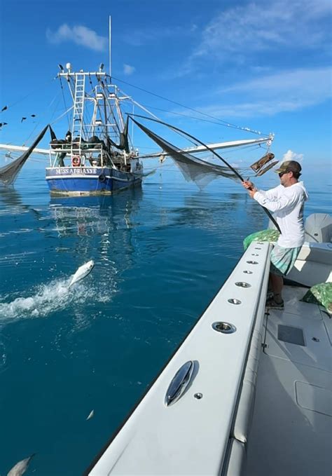 Vickystarkfishing Onlyfans Leaked [HD] 😈