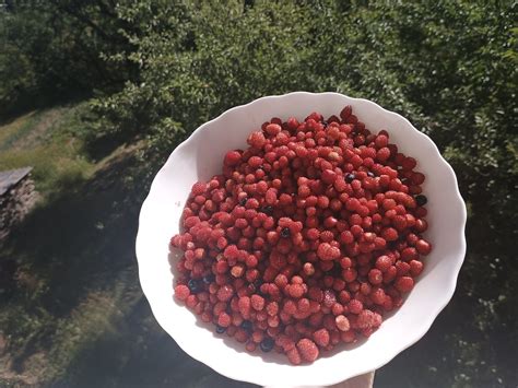 Victoria Vintonyak Leaks 🍑 XxX