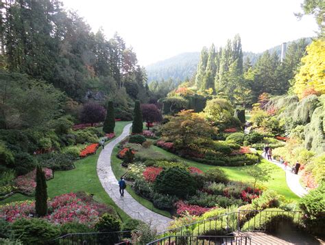 Victoria butchart gardens. Things To Know About Victoria butchart gardens. 