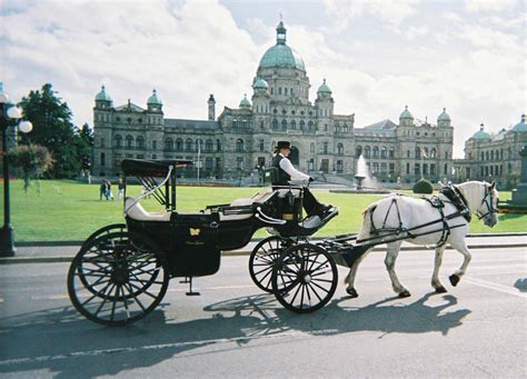 Victoria carriage tours. .  <a href=https://stalinox.ru/vt6au84/hot-goa-g...