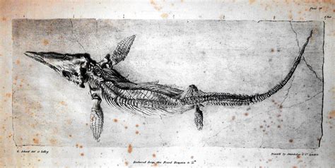 Victorian Cryptozoology: The Great Sea-Serpent and its Cultural ...