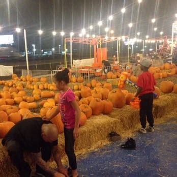1. Hall's Pumpkin Farm. "In my opinion, this is the best pumpkin patch in all of DFW! This spot is family friendly, has great..." more. 2. The Flower Mound Pumpkin Patch. "These two adjacent pumpkin patches are not to be confused." more. 3. Sally's Pumpkin Patch.. 