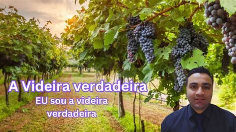 Videira Verdadeira - YouTube