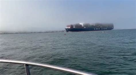 Video: Alcatraz swimmers have close call with cargo ship