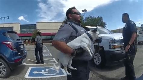 Video: Officer breaks into hot car to rescue dog