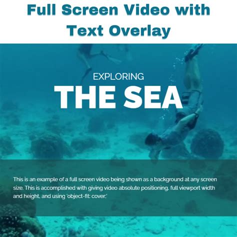 Video background with text overlay html.  Mar 3, 2024 · This code snippet he...