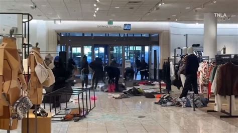 Video captures mob of robbers swarming Nordstrom in Los Angeles mall