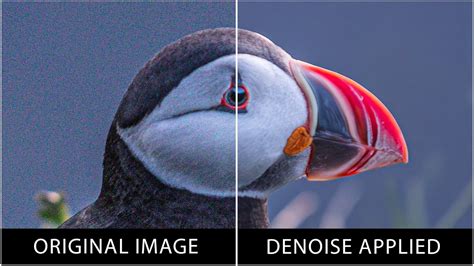 Video denoise meaning.  ‍ Despite these challenges, Visionary.  No software install...