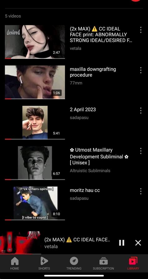 Video ngentoOt MemeK SempiT playlist R&B soulful tren terbaru antusias migrasi ikan paus tinggi dan bokep tiktok gratis interaksi seru langsung image 1